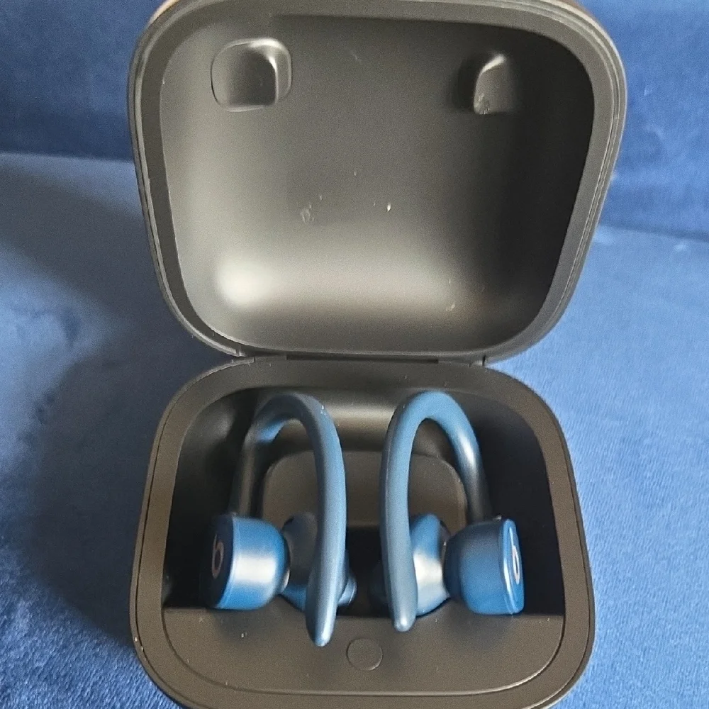 Powerbeats Pro True Wireless Earbuds - Blue